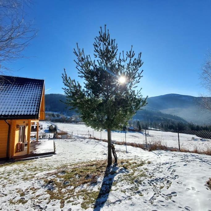 Panorama Sucha Gora ,Lesny Domek Skawica  Exterior foto