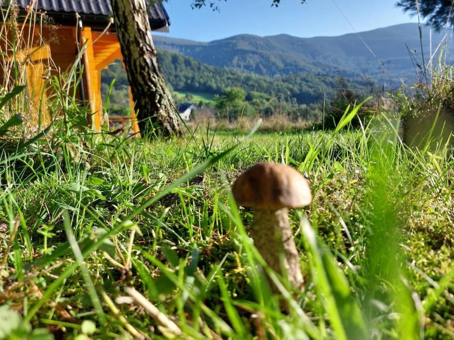 Panorama Sucha Gora ,Lesny Domek Skawica  Exterior foto